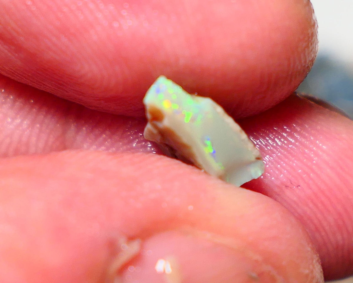 Lightning Ridge Rough Opal 1.75cts Little Seam Gamble Very Bright multicolours 10x8x4mm 1410