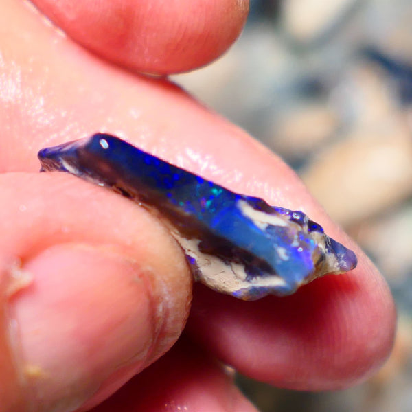 Lightning Ridge Rough Opal 12cts Black Seam formation showing lots nice Blues 20x18x11mm 1344