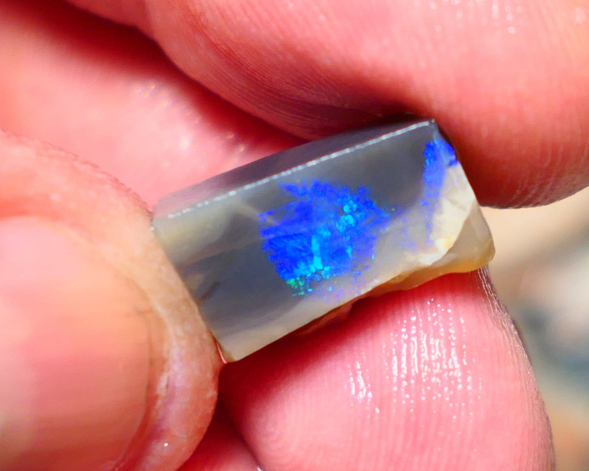 Lightning Ridge Opal Dark Base Seam Rough / Slice / Rub 9.15cts Bright Blue Green & Teal fires gorgeous pattern  15x9x8mm 1342