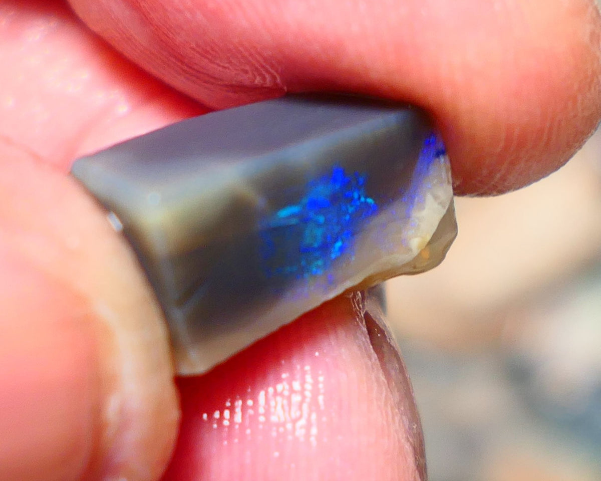 Lightning Ridge Opal Dark Base Seam Rough / Slice / Rub 9.15cts Bright Blue Green & Teal fires gorgeous pattern  15x9x8mm 1342