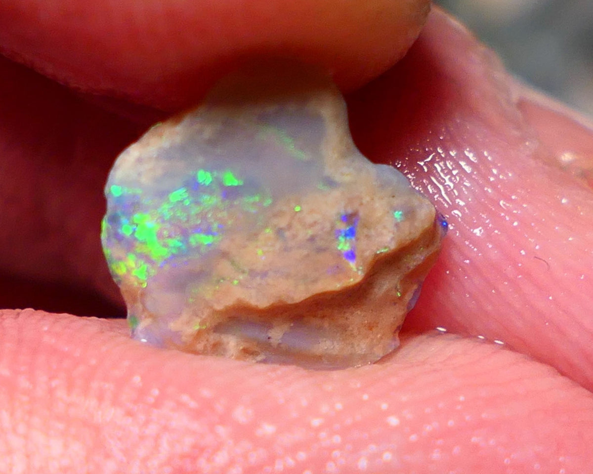 Lightning Ridge Rough Opal 1.45cts Small Crystal knobby formation showing some bright multicolour 11x10x2.5mm 1409