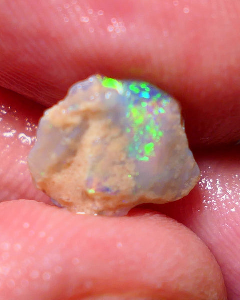 Lightning Ridge Rough Opal 1.45cts Small Crystal knobby formation showing some bright multicolour 11x10x2.5mm 1409