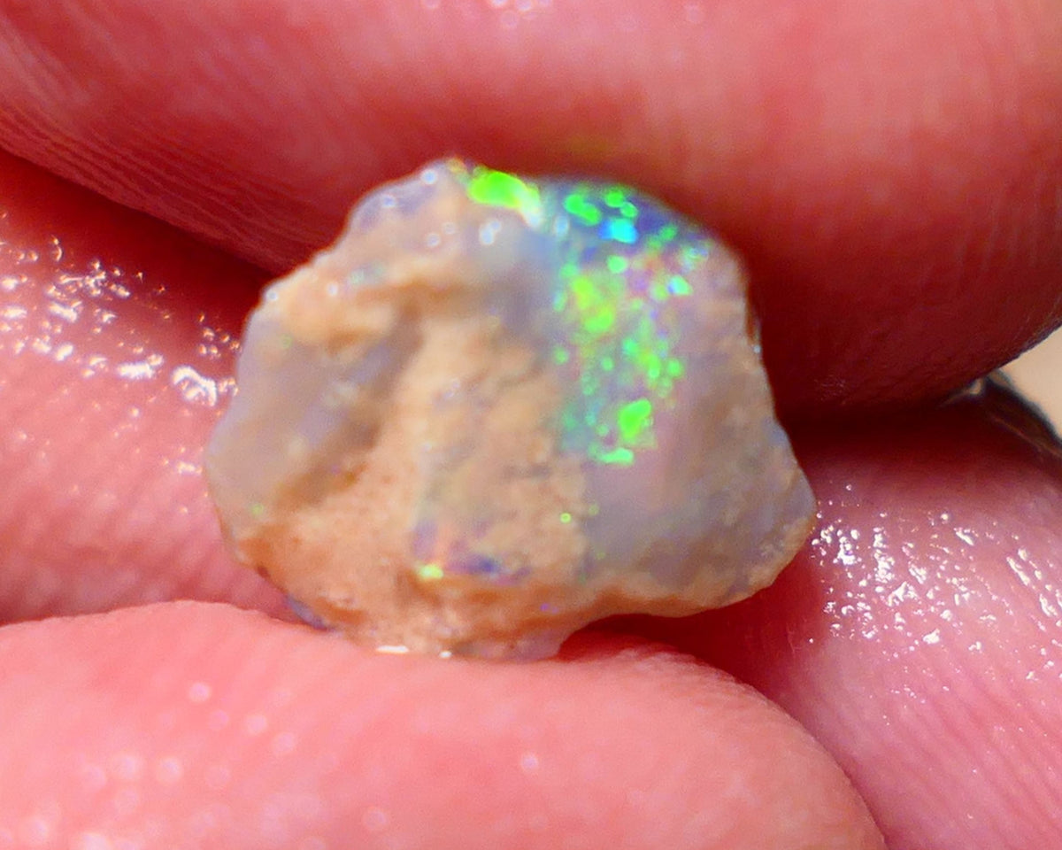 Lightning Ridge Rough Opal 1.45cts Small Crystal knobby formation showing some bright multicolour 11x10x2.5mm 1409