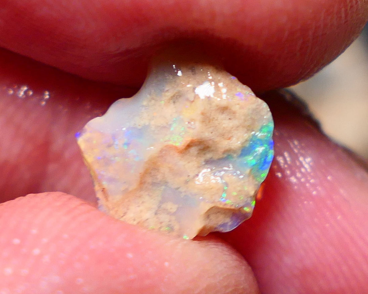 Lightning Ridge Rough Opal 1.45cts Small Crystal knobby formation showing some bright multicolour 11x10x2.5mm 1409