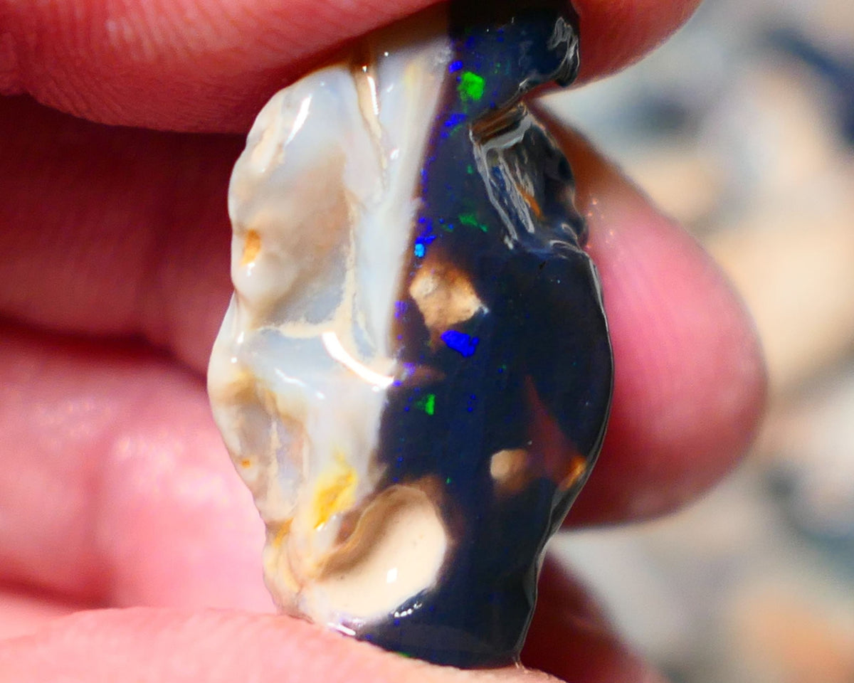 Lightning Ridge Rough Opal 19cts Black base Seam showing Green and blue fires 28x17x11mm 1338