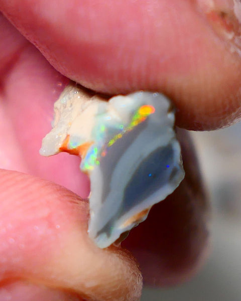 Lightning Ridge Rough Opal 7.75cts Dark Base Gamble Knobby Gorgeous Bright Orange/Gold/Yellow dominant M.Fires 14x12x10mm NS141