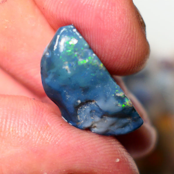 Lightning Ridge Rough Opal 12cts Dark  Half Knobby showing some Bright Yellow Blue Green 24x12x7mm A1515