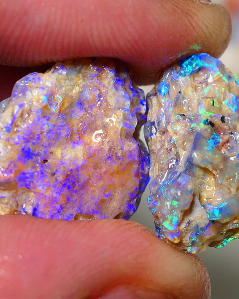 Lightning Ridge 26cts Very Bright pair of gorgeous Dark base Crystal Opalised fossil rough to cut/carve Vibrant Blue/purple/green 18x18x11mm & 2x12x9mm A1529