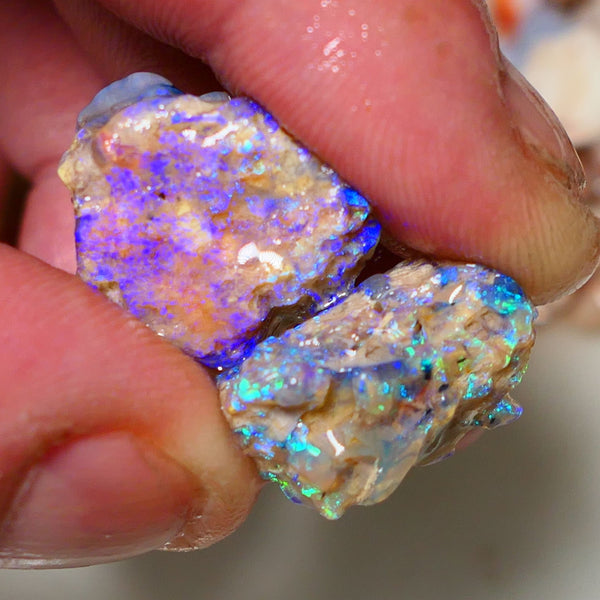 Lightning Ridge 26cts Very Bright pair of gorgeous Dark base Crystal Opalised fossil rough to cut/carve Vibrant Blue/purple/green 18x18x11mm & 2x12x9mm A1529