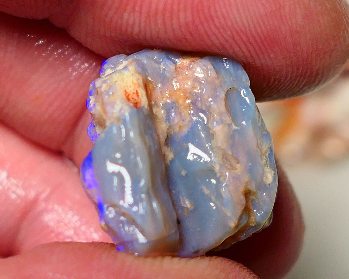 Lightning Ridge 26cts Very Bright pair of gorgeous Dark base Crystal Opalised fossil rough to cut/carve Vibrant Blue/purple/green 18x18x11mm & 2x12x9mm A1529