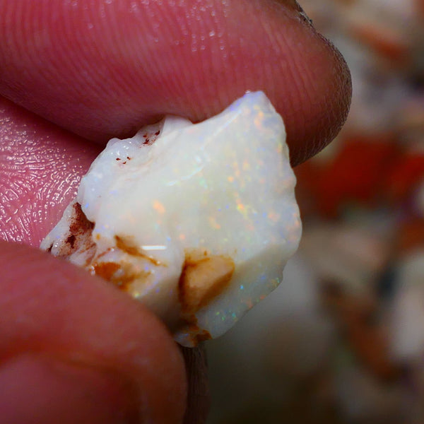 Coober Pedy Rough Opal 10cts White/Light Seam showing nice Yellow dominant multi colours 18x12x11mm A1532