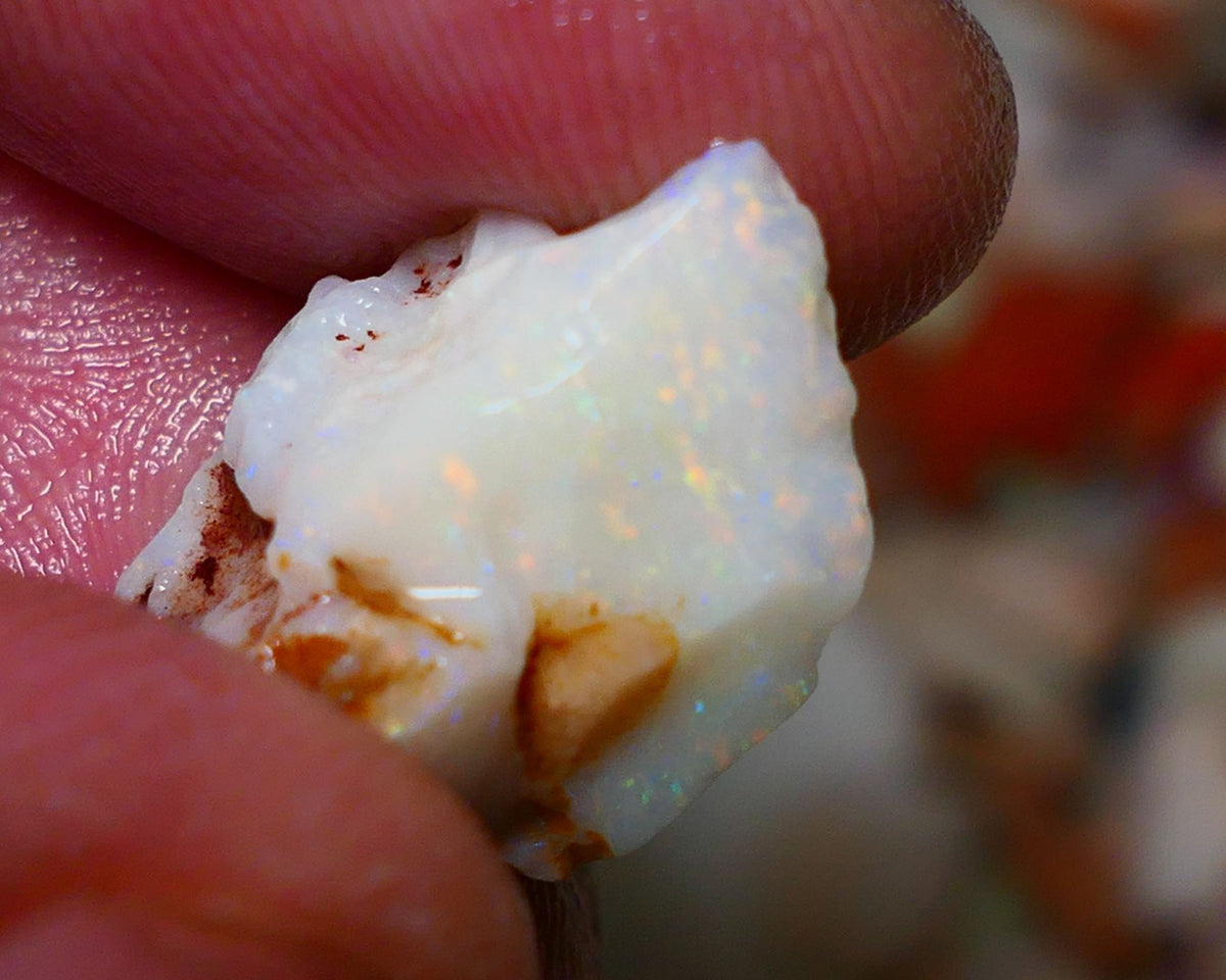 Coober Pedy Rough Opal 10cts White/Light Seam showing nice Yellow dominant multi colours 18x12x11mm A1532