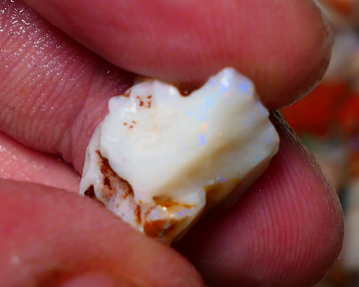 Coober Pedy Rough Opal 10cts White/Light Seam showing nice Yellow dominant multi colours 18x12x11mm A1532