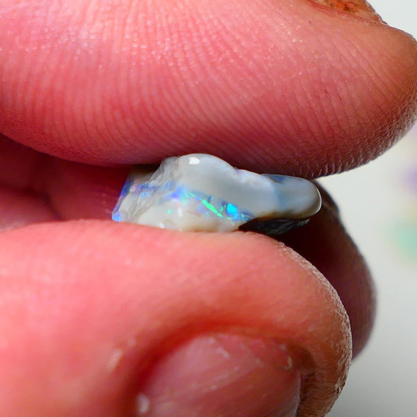 Lightning Ridge Rough Opal 4.50cts Dark Base Knobby showing Nice bright Blue/Green colours 14x13x5mm A1546