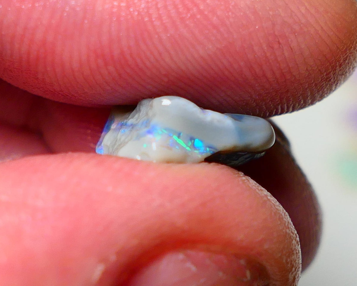 Lightning Ridge Rough Opal 4.50cts Dark Base Knobby showing Nice bright Blue/Green colours 14x13x5mm A1546