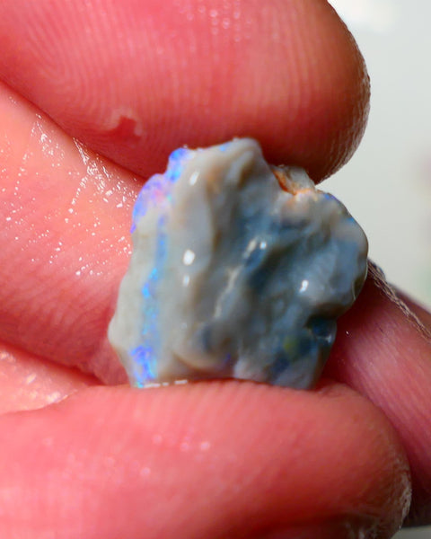 Lightning Ridge Rough Opal 4.50cts Dark Base Knobby showing Nice bright Blue/Green colours 14x13x5mm A1546