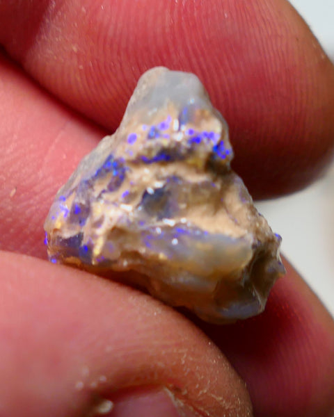 Lightning Ridge Rough Opal 9.75cts Dark Base Gamble Knobby formation showing blue fires 18x17x8mm Auction NS024