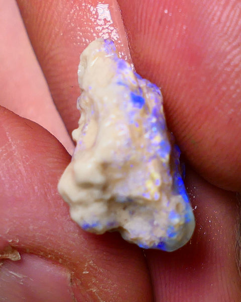 Lightning Ridge Rough Opal 10cts Crystal Base Gamble Knobby formation Lots blue fires 20x15x11mm Auction NS002