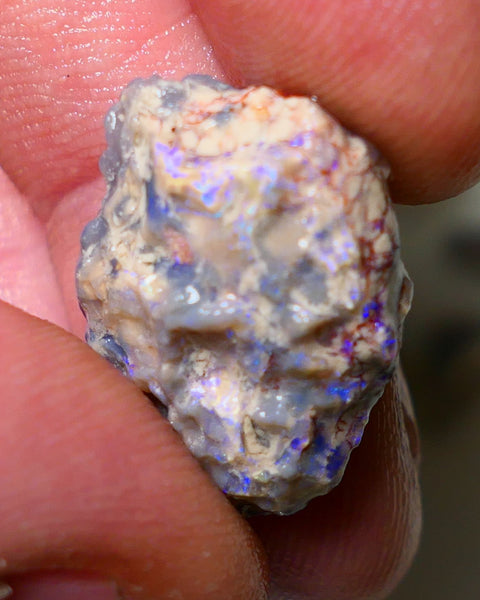 Lightning Ridge Rough Opal 13cts Dark Base Gamble Knobby Some nice blue fires 21x15x7mm Auction NS003