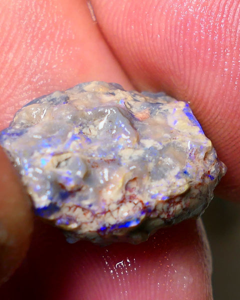 Lightning Ridge Rough Opal 13cts Dark Base Gamble Knobby Some nice blue fires 21x15x7mm Auction NS003