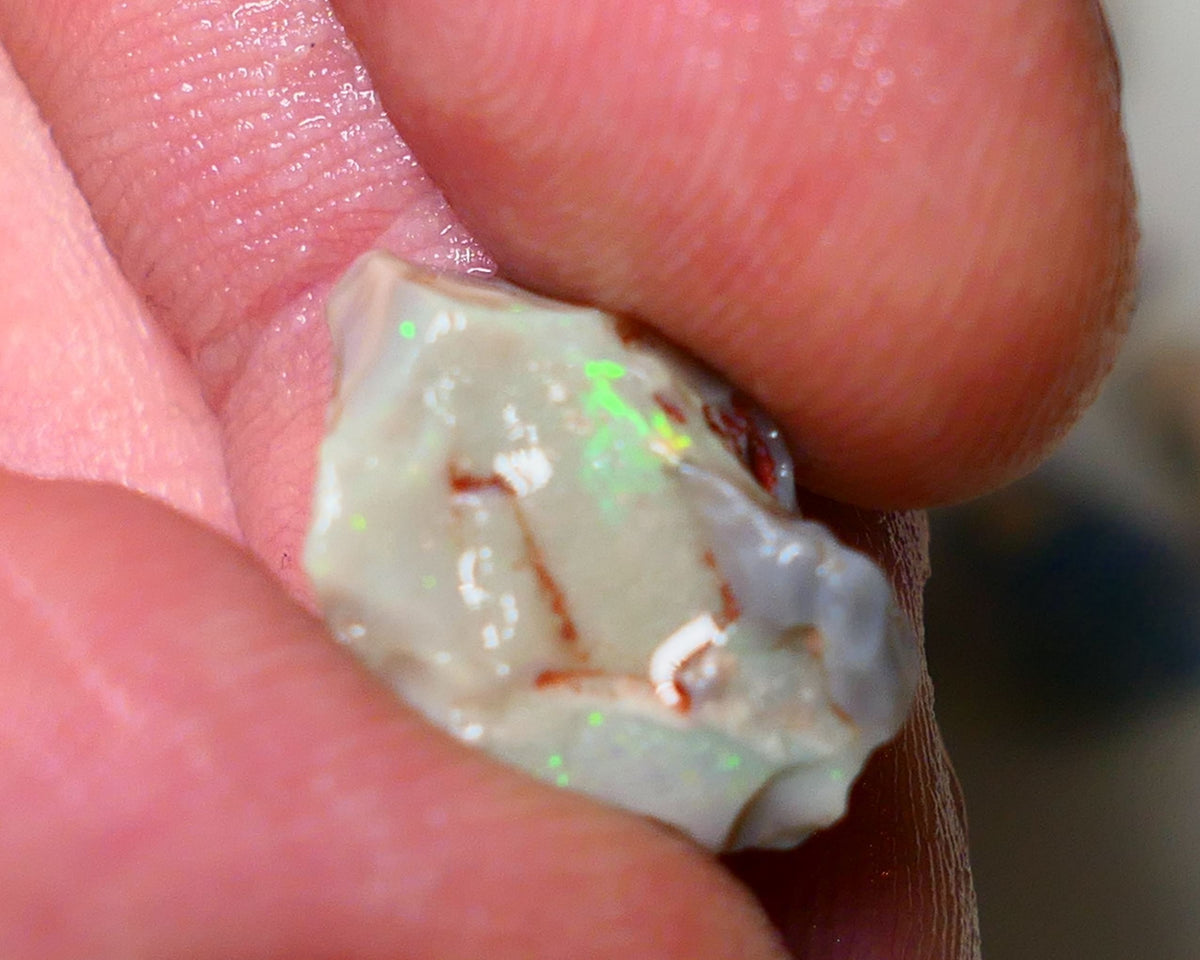 Lightning Ridge Rough Opal pair 14cts Gamble Dark Base Seam some Multifires showing 17x13x9mm & 17x15x5mm  Auction NS006