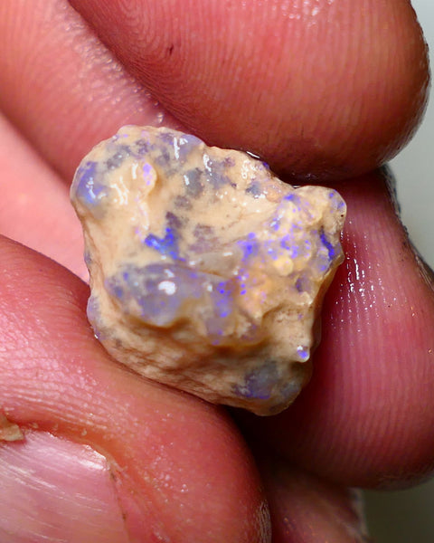 Lightning Ridge Rough Opal 11cts Crystal Base Gamble Knobby formation some  blue fires 18x16x10mm Auction NS013