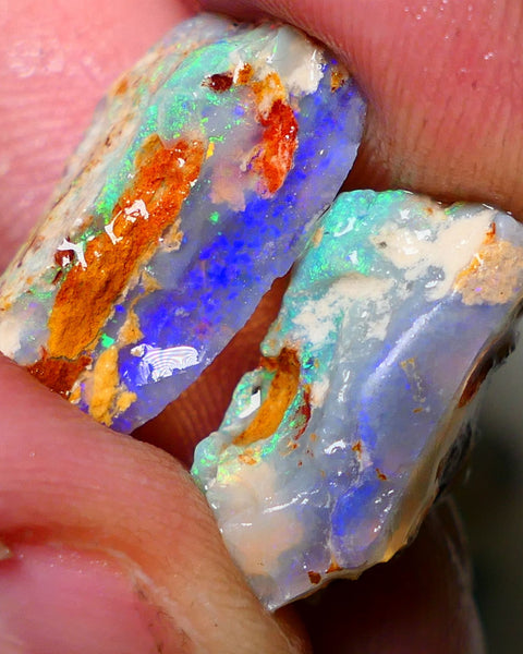 Lightning Ridge 18cts Bright & gorgeous Dark base Crystal Knobby/Opalised fossil Split rough to cut/carve Vibrant Blues and Multicolours 22x13x7mm & 18x10x9mm NSW001