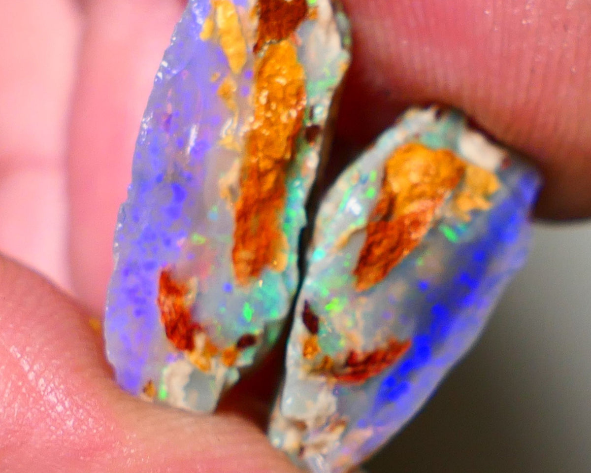 Lightning Ridge 18cts Bright & gorgeous Dark base Crystal Knobby/Opalised fossil Split rough to cut/carve Vibrant Blues and Multicolours 22x13x7mm & 18x10x9mm NSW001