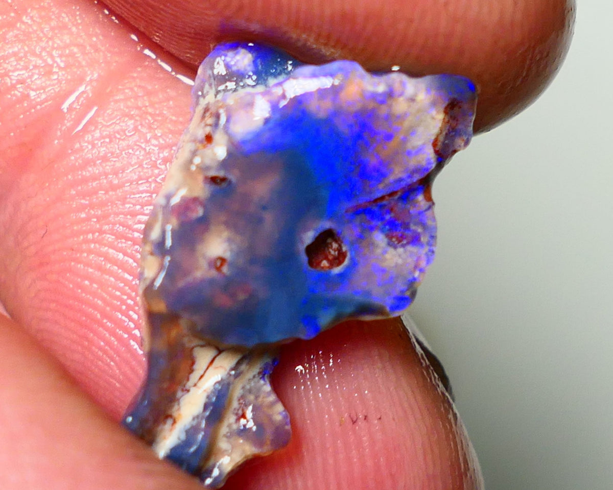 Lightning Ridge Rough Opal 5.5cts Dark Base Seam Gorgeous Vibrant bright blues colours 20x11x5mm Auction NS055