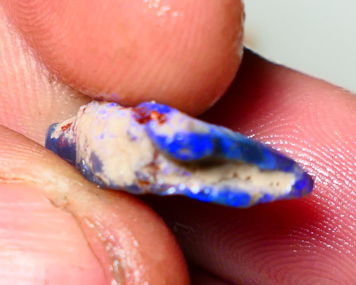 Lightning Ridge Rough Opal 5.5cts Dark Base Seam Gorgeous Vibrant bright blues colours 20x11x5mm Auction NS055