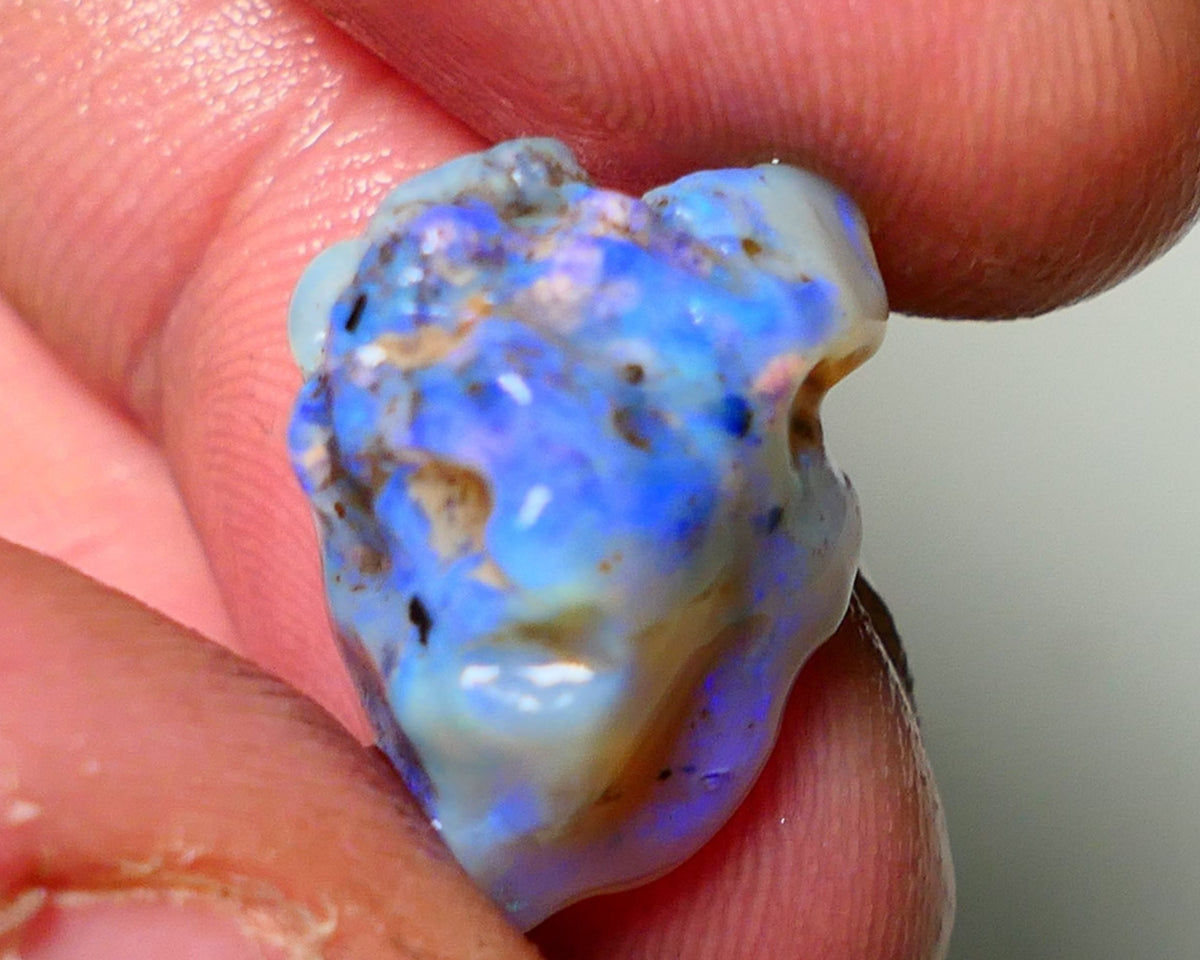 Lightning Ridge Rough Opal 14.50cts Dark Base Gamble Knobby formation Gorgeous blue fires 20x12x12mm Auction NS052