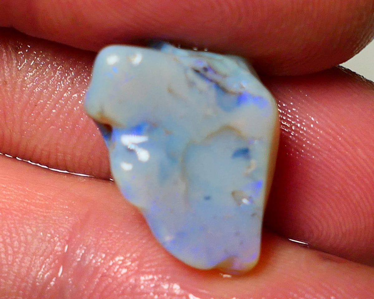 Lightning Ridge Rough Opal 14.50cts Dark Base Gamble Knobby formation Gorgeous blue fires 20x12x12mm Auction NS052