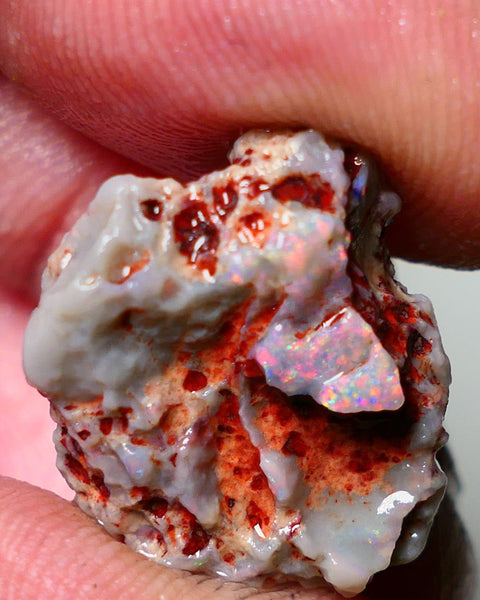 Lightning Ridge Rough Opal 15cts Dark Base Gamble Knobby formation Pinks & Multifires fires 20x17x10mm Auction NS041