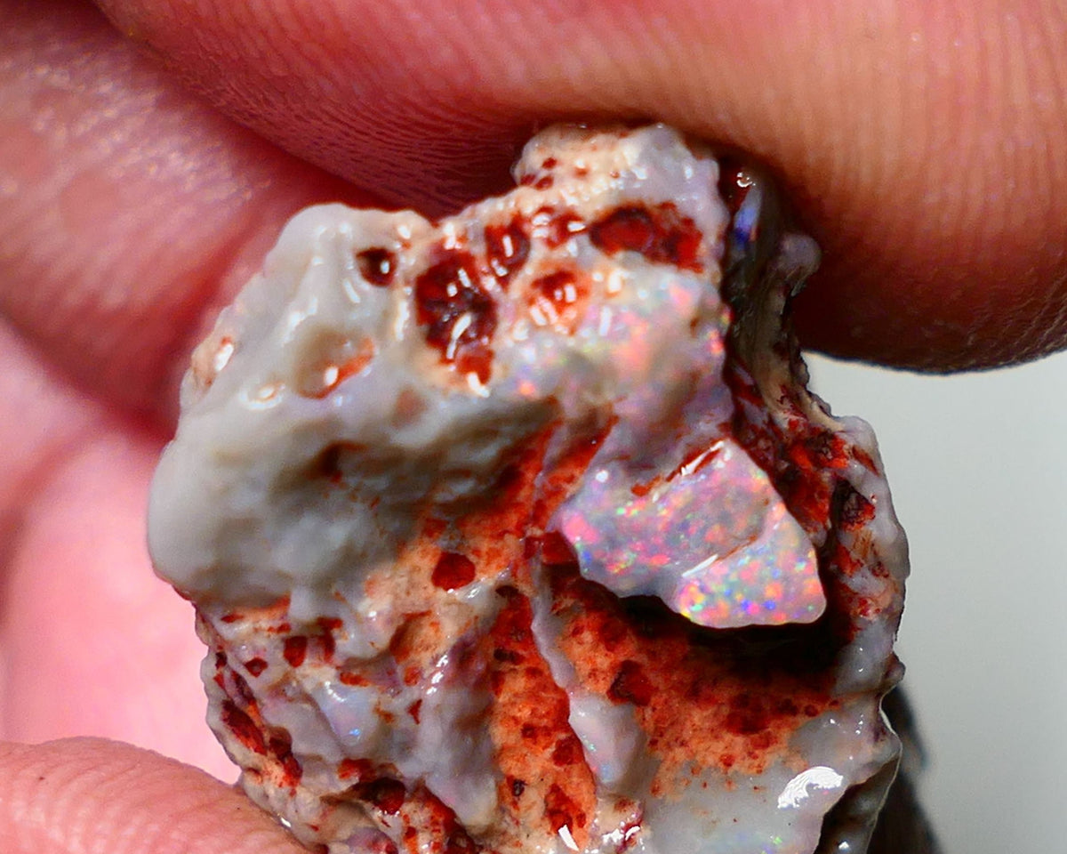 Lightning Ridge Rough Opal 15cts Dark Base Gamble Knobby formation Pinks & Multifires fires 20x17x10mm Auction NS041