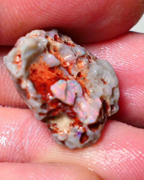 Lightning Ridge Rough Opal 15cts Dark Base Gamble Knobby formation Pinks & Multifires fires 20x17x10mm Auction NS041