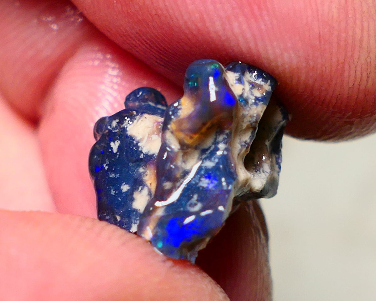 Lightning Ridge Rough Opal 8cts Blue on Black Gamble Seam Nice Blues 16x11x11mm NS029