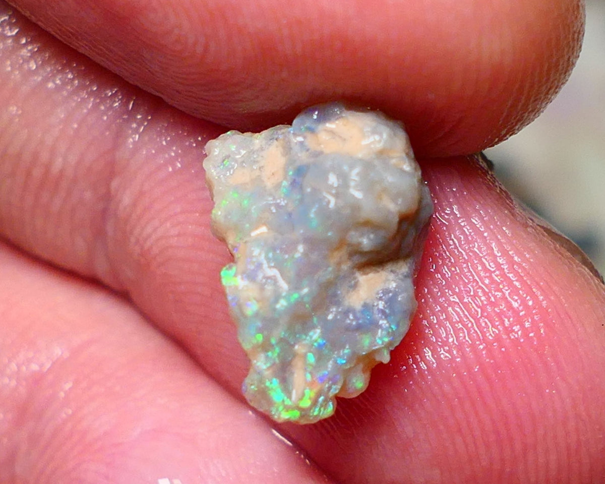 Lightning Ridge Rough Opal 3.60cts Untouched Knobby rough with Gorgeous Multicolours to explore 13x9x7mm Auction NS062