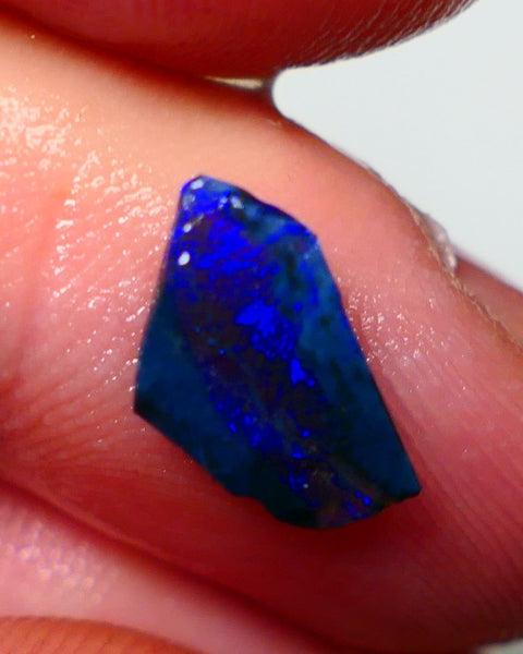 Lightning Ridge Rough / Rub opal Miners Bench® 1.25cts Bright Blues on black double sided 12x7x2mm AUCTION NS094