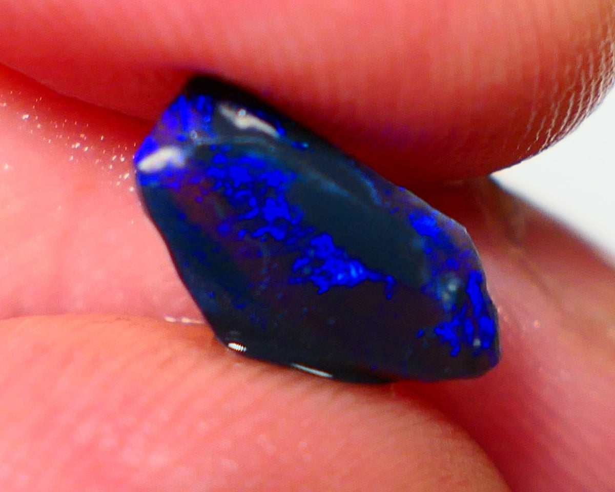 Lightning Ridge Rough / Rub opal Miners Bench® 1.25cts Bright Blues on black double sided 12x7x2mm AUCTION NS094