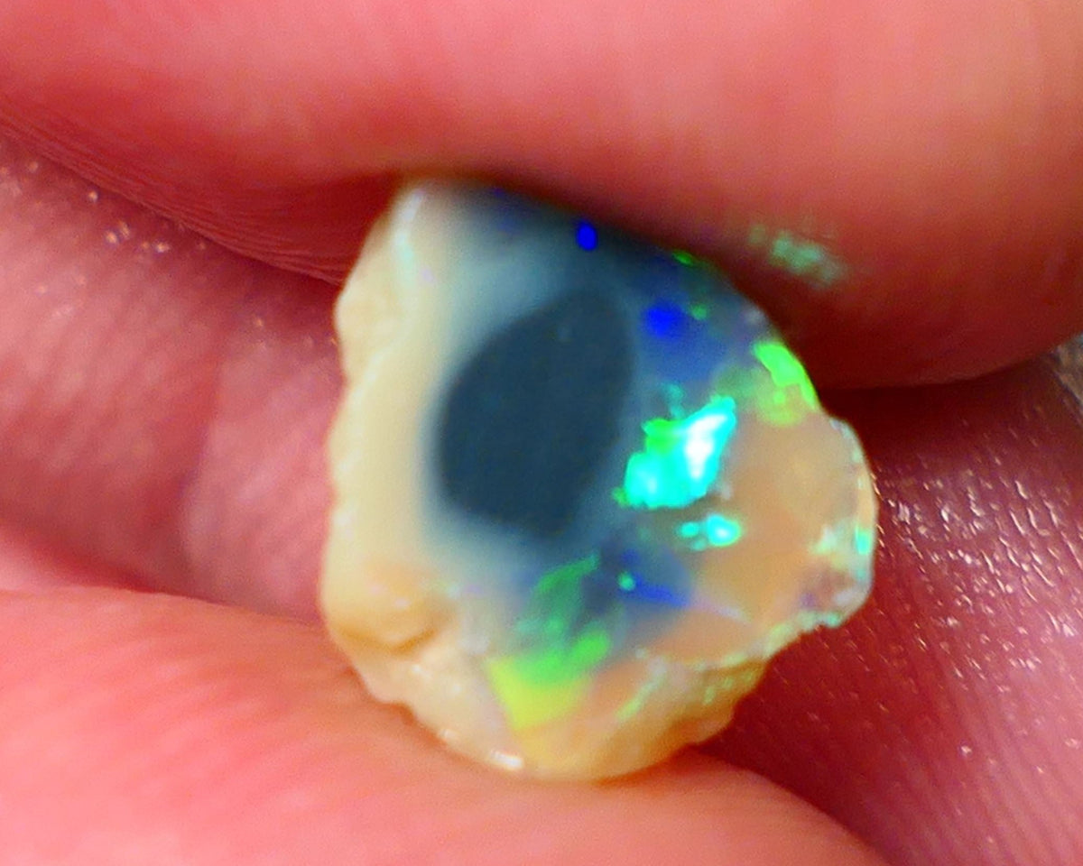 Lightning Ridge Rough / Rub knobby opal Miners Bench® 1.85cts Exotic Bright Yellow/Green/Blue/Teal Fires 10x9x3mm AUCTION NS091