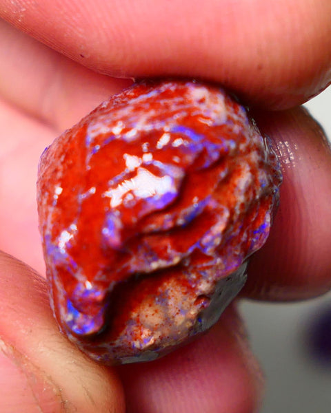 Lightning Ridge Rough Opal 18cts Dark Base Gamble Knobby formation Nice blue fires 20x15x12mm NS110