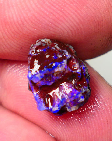 Lightning Ridge Rough Opal 5cts Dark Base Gamble Knobby formation Gorgeous blue fires 13x10x9mm Auction NS109