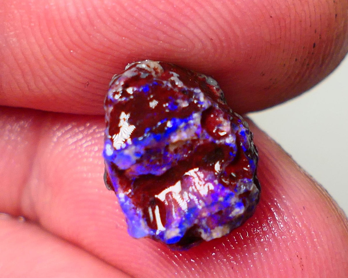 Lightning Ridge Rough Opal 5cts Dark Base Gamble Knobby formation Gorgeous blue fires 13x10x9mm Auction NS109