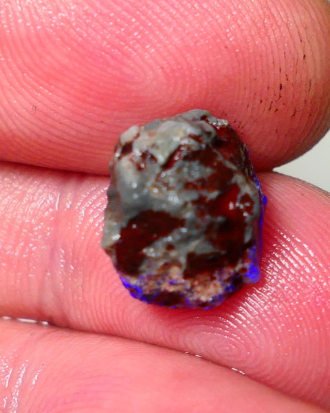 Lightning Ridge Rough Opal 5cts Dark Base Gamble Knobby formation Gorgeous blue fires 13x10x9mm Auction NS109