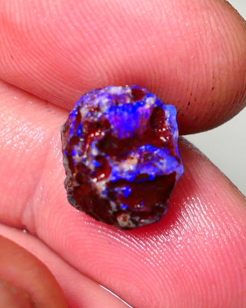 Lightning Ridge Rough Opal 5cts Dark Base Gamble Knobby formation Gorgeous blue fires 13x10x9mm Auction NS109