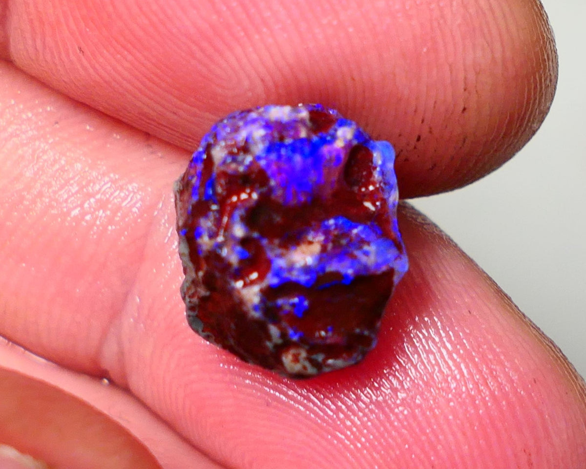 Lightning Ridge Rough Opal 5cts Dark Base Gamble Knobby formation Gorgeous blue fires 13x10x9mm Auction NS109