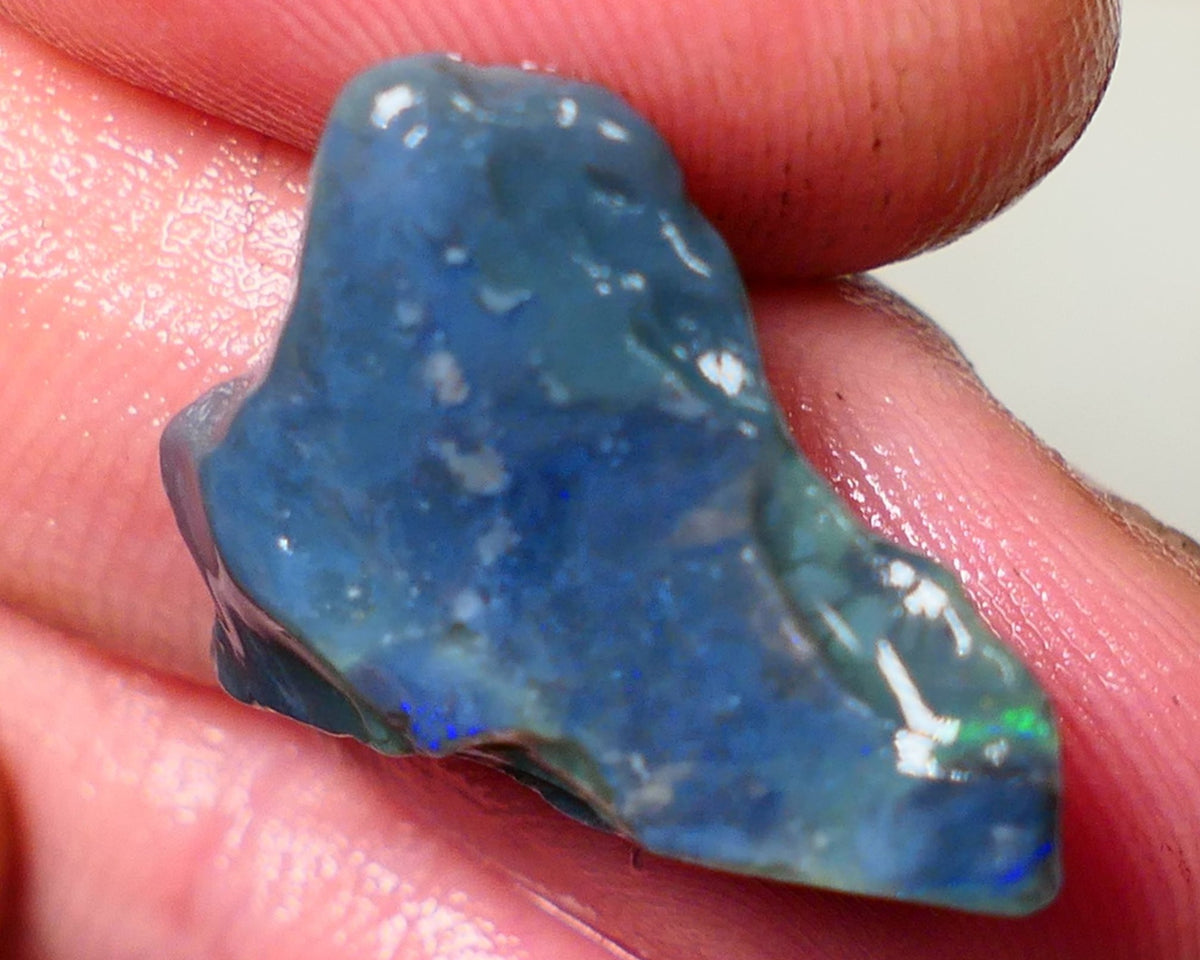 Mulga Rough Opal Gamble 11cts Dark Base Seam Green Dominant fires to Cut / carve & polish 22X16X6mm Auction NS108