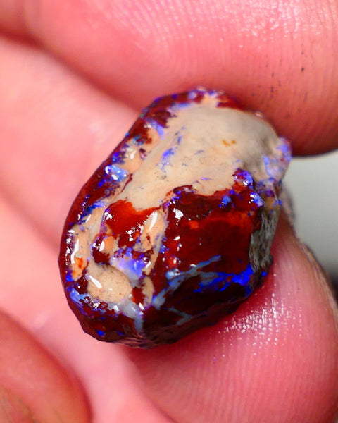 Lightning Ridge Rough Opal 11cts Dark Base Gamble Knobby formation Nice blue fires 19x13x8mm Auction NS107