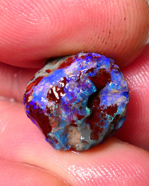 Lightning Ridge Rough Opal 7.75cts Dark Base Gamble Knobby formation Gorgeous blue fires 14x14x9mm Auction NS106