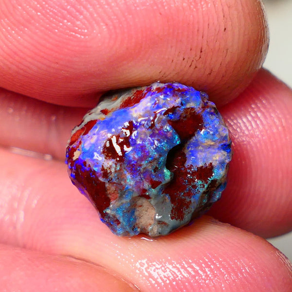 Lightning Ridge Rough Opal 7.75cts Dark Base Gamble Knobby formation Gorgeous blue fires 14x14x9mm NS106